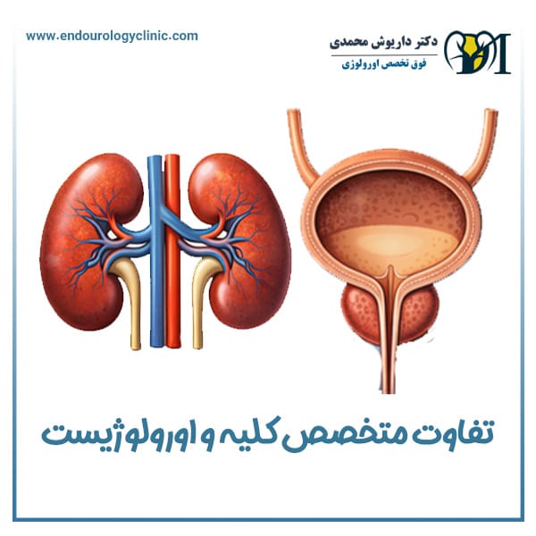 تفاوت متخصص کلیه و اورولوژیست + دکتر داریوش محمدی