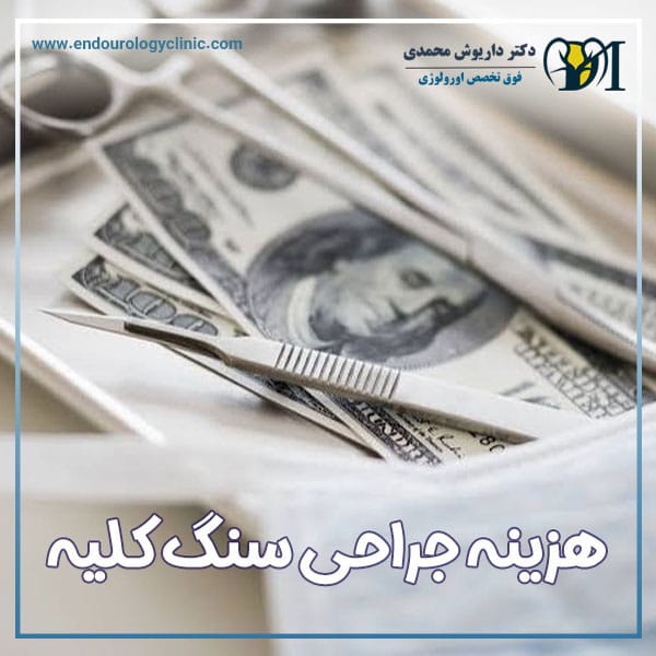 هزینه جراحی سنگ کلیه در تهران | دکتر داریوش محمدی